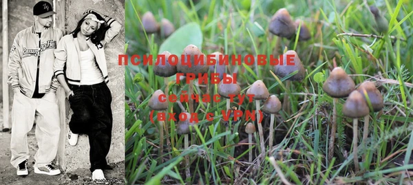 таблы Осинники