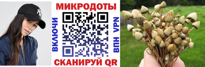 Псилоцибиновые грибы Magic Shrooms  Карабаново 