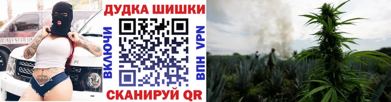 Каннабис MAZAR Карабаново